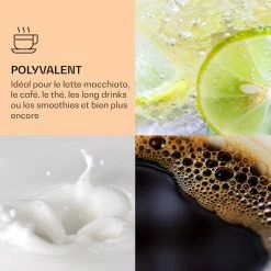 Bambuswald Préparation Culinaire Verre à Café Avec Couvercle 240 Ml 13 Bambuswald Préparation Culinaire Verre à Café Avec Couvercle 240 Ml -Appareils de cuisine Soldes Magasin 10038227 fr 0006 logo