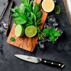 Zelite Infinity By Klarstein Préparation Culinaire Couteau à éplucher 4" Alpha-Royal German -Appareils de cuisine Soldes Magasin 10039004 yy 0005 logo