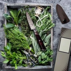 Zelite Infinity By Klarstein Préparation Culinaire Couteau à éplucher 4" Infinity Wave 9 Zelite Infinity By Klarstein Préparation Culinaire Couteau à éplucher 4" Infinity Wave -Appareils de cuisine Soldes Magasin 10039038 yy 0003 logo