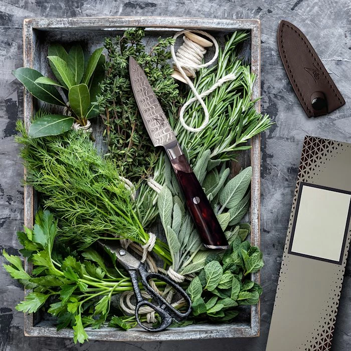 Zelite Infinity By Klarstein Préparation Culinaire Couteau à éplucher 4" Infinity Wave 5 Zelite Infinity By Klarstein Préparation Culinaire Couteau à éplucher 4" Infinity Wave – Image 3