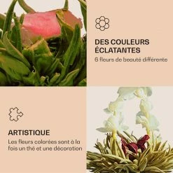 Feelino Préparation Culinaire Fleurs De Thé 6 Sortes Différentes -Appareils de cuisine Soldes Magasin 10040406 fr 0006 logo