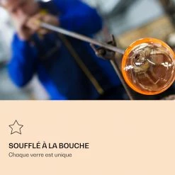 Feelino Préparation Culinaire Verre Ice Avec Fleur De Thé 320 Ml -Appareils de cuisine Soldes Magasin 10040450 fr 0006 logo